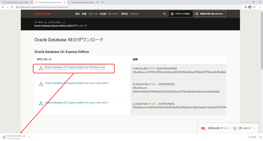 Oracle Database 21c Express Edition Installation