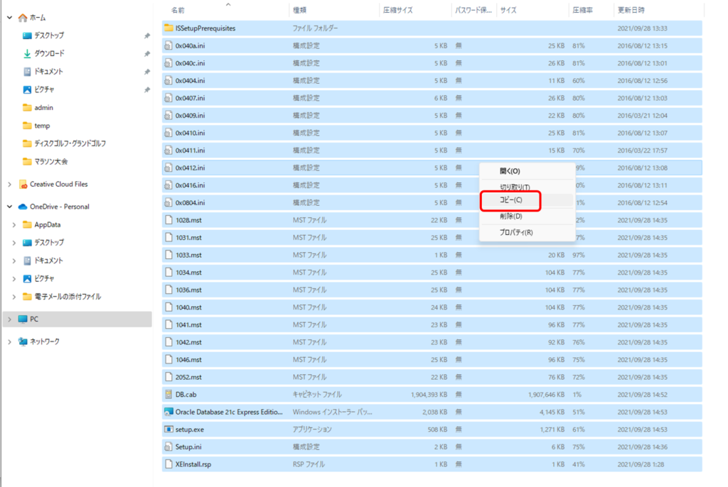 Oracle Database 21c Express Edition Installation