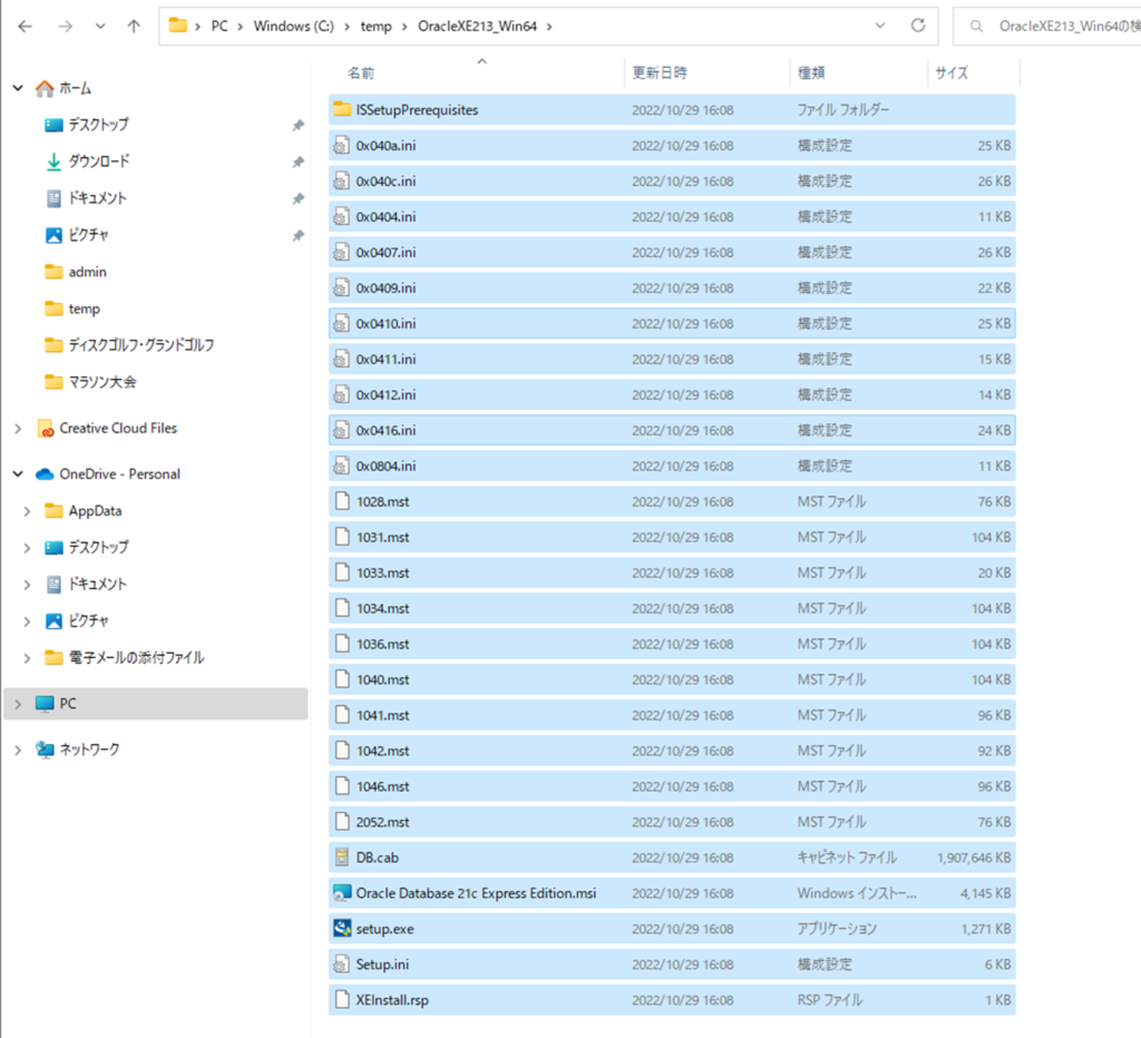 Oracle Database 21c Express Edition Installation